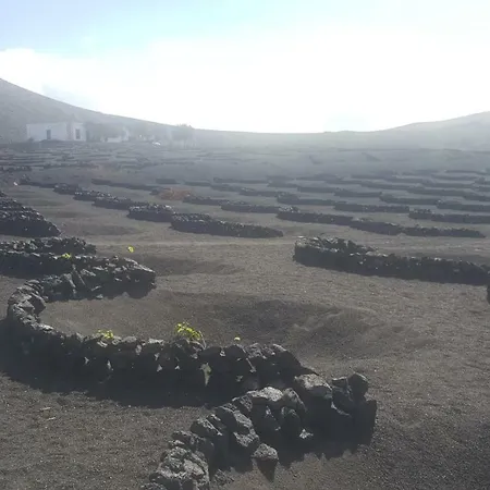 San Franciscco Javier Arrecife * Arrecife (Lanzarote)